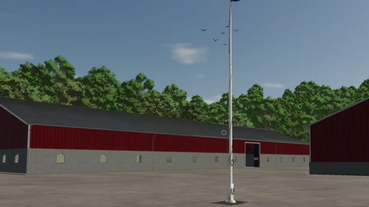 Swedish Flag