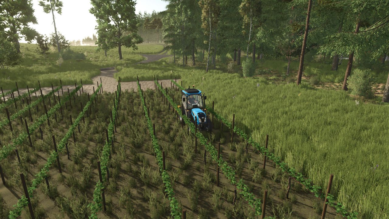 TerraFusion e viti di olive