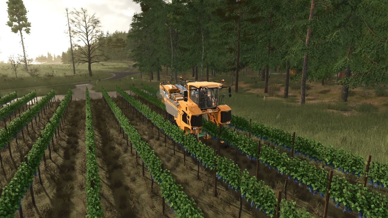 TerraFusion e viti di olive