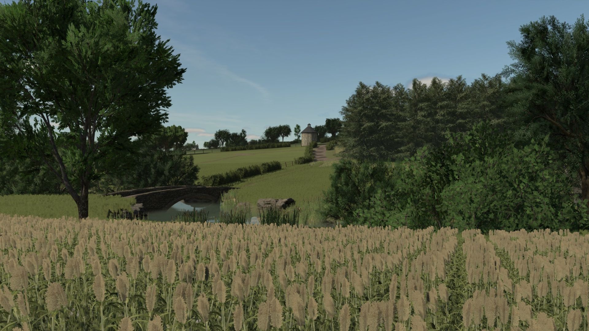 Terre d'Auvergne