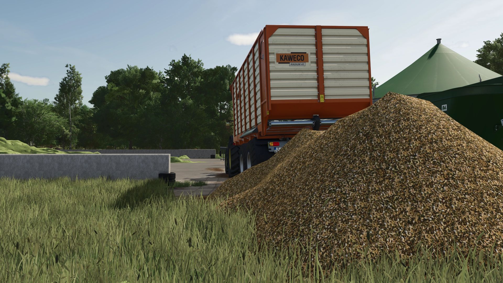 Texture of Wood Chips e Insilage tritato