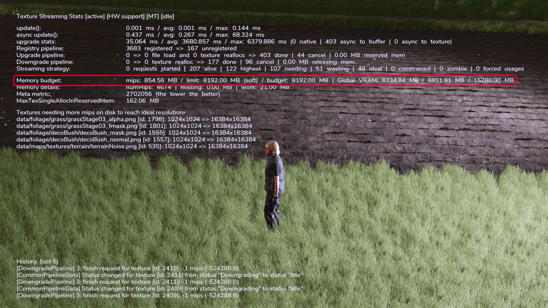 Texture Streaming Budget 200% (8GB)