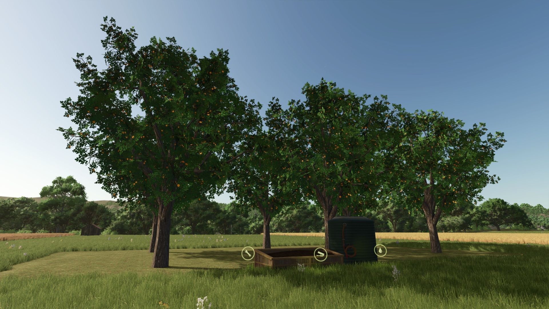 Three plantations