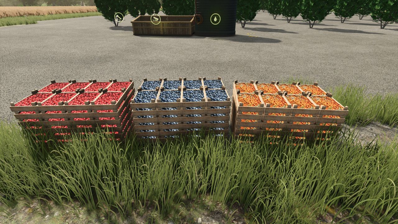 Three plantations