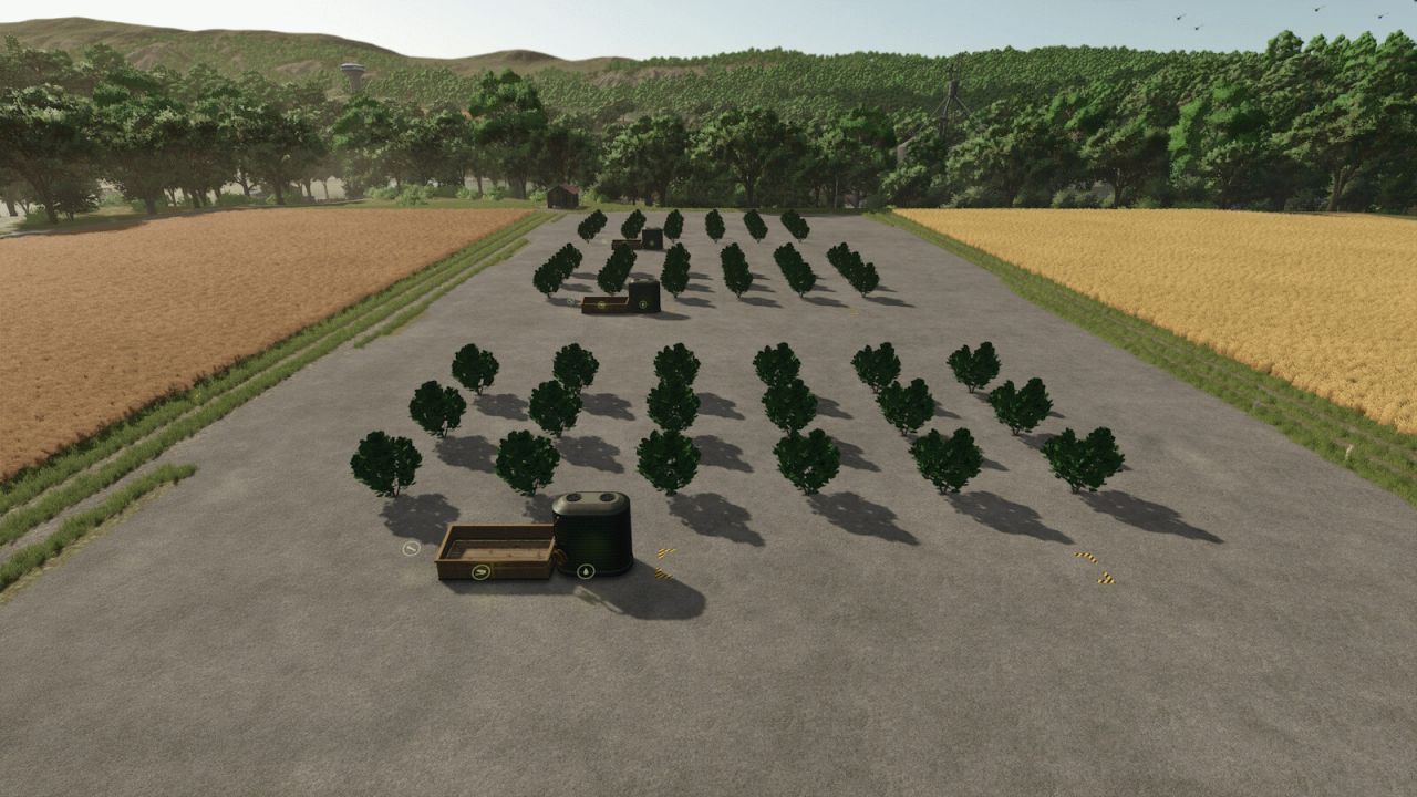 Three plantations