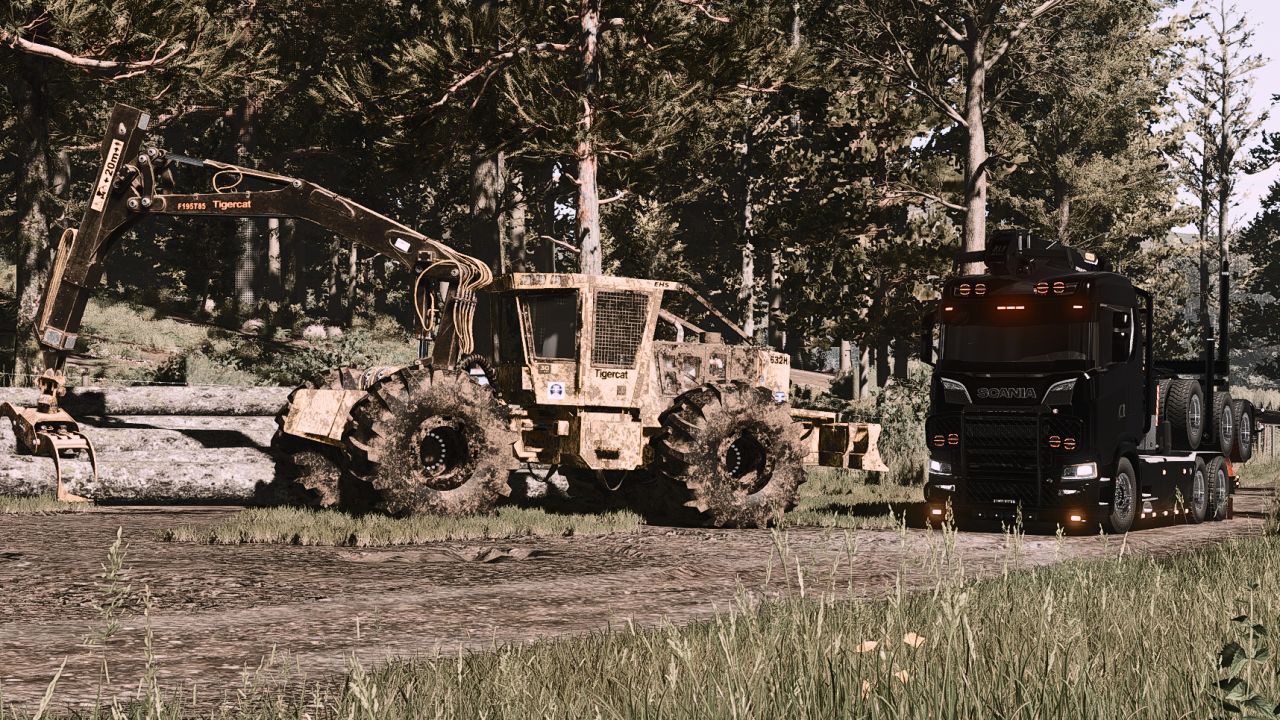 Tigercat Crane Skidder
