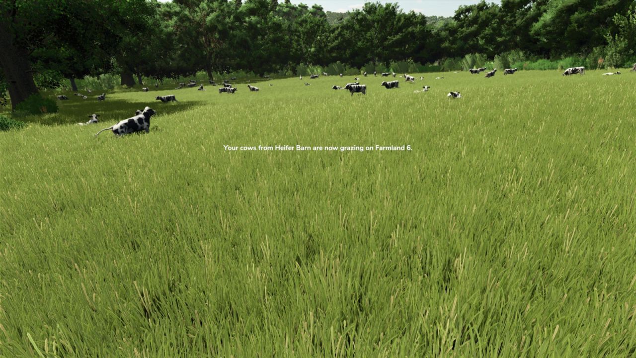 To Pasture And Back