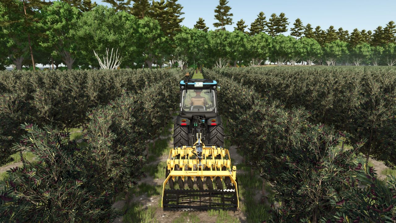 Strumenti per l'uva e le olive