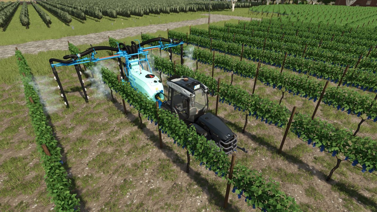 Strumenti per l'uva e le olive