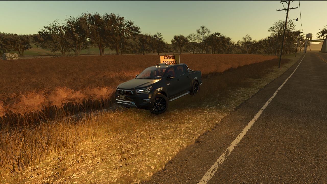 Toyota Hilux Agricole