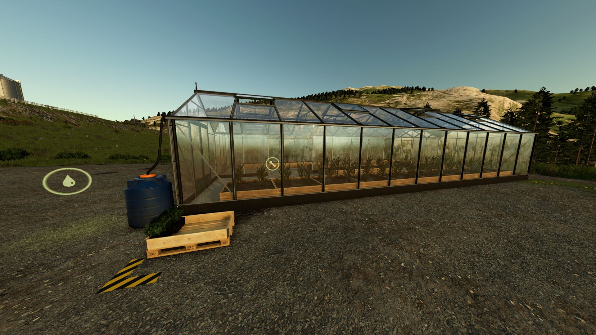 Tree saplings greenhouse