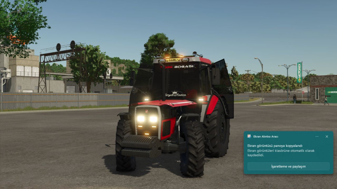 Turkish Bull / Hattat 398
