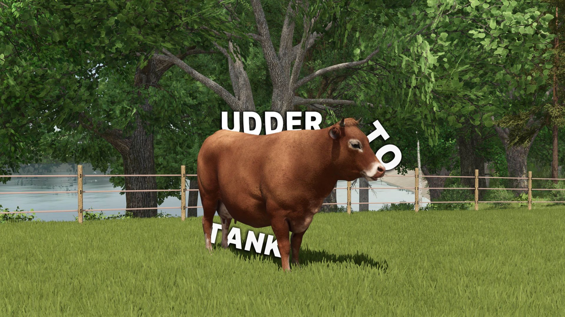 Do úbere ao tanque