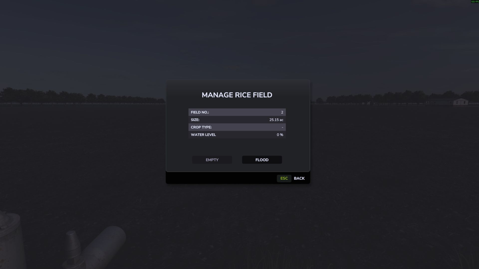 Champs de riz illimités