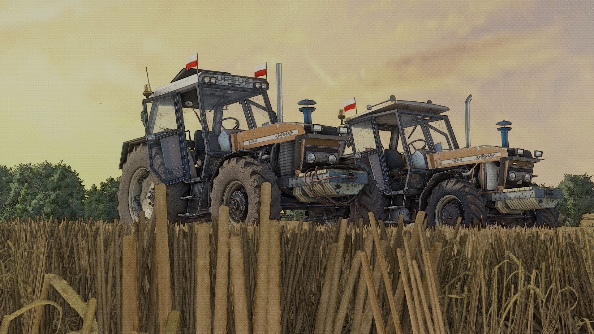 Ursus 6cyl Pack Mokrzyn FS25 thumbnail 4