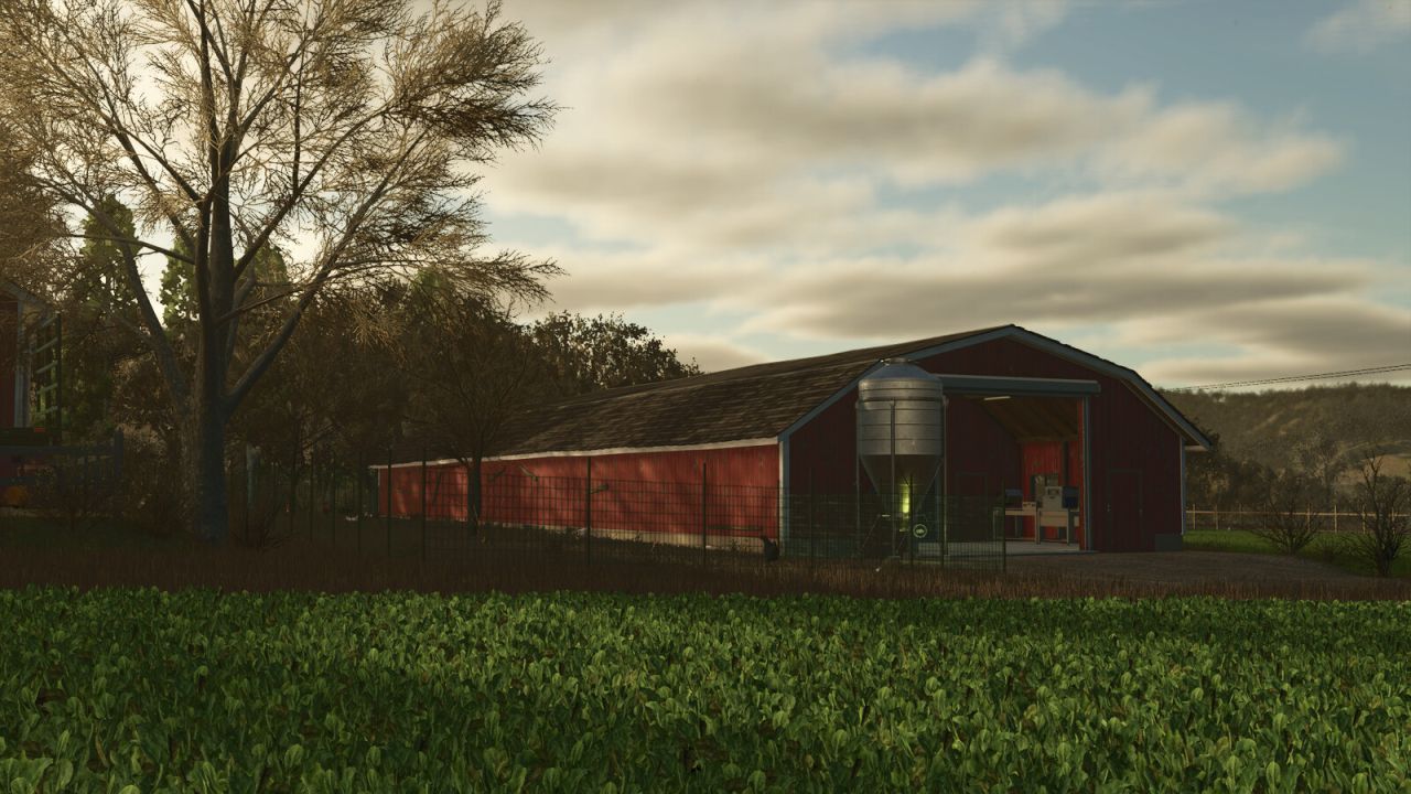 US Chicken Coop