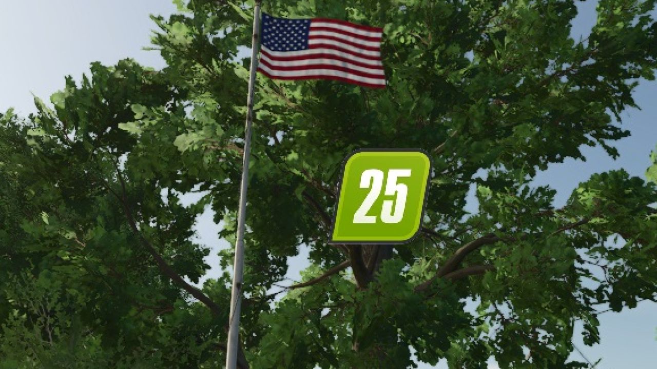 USA Flag