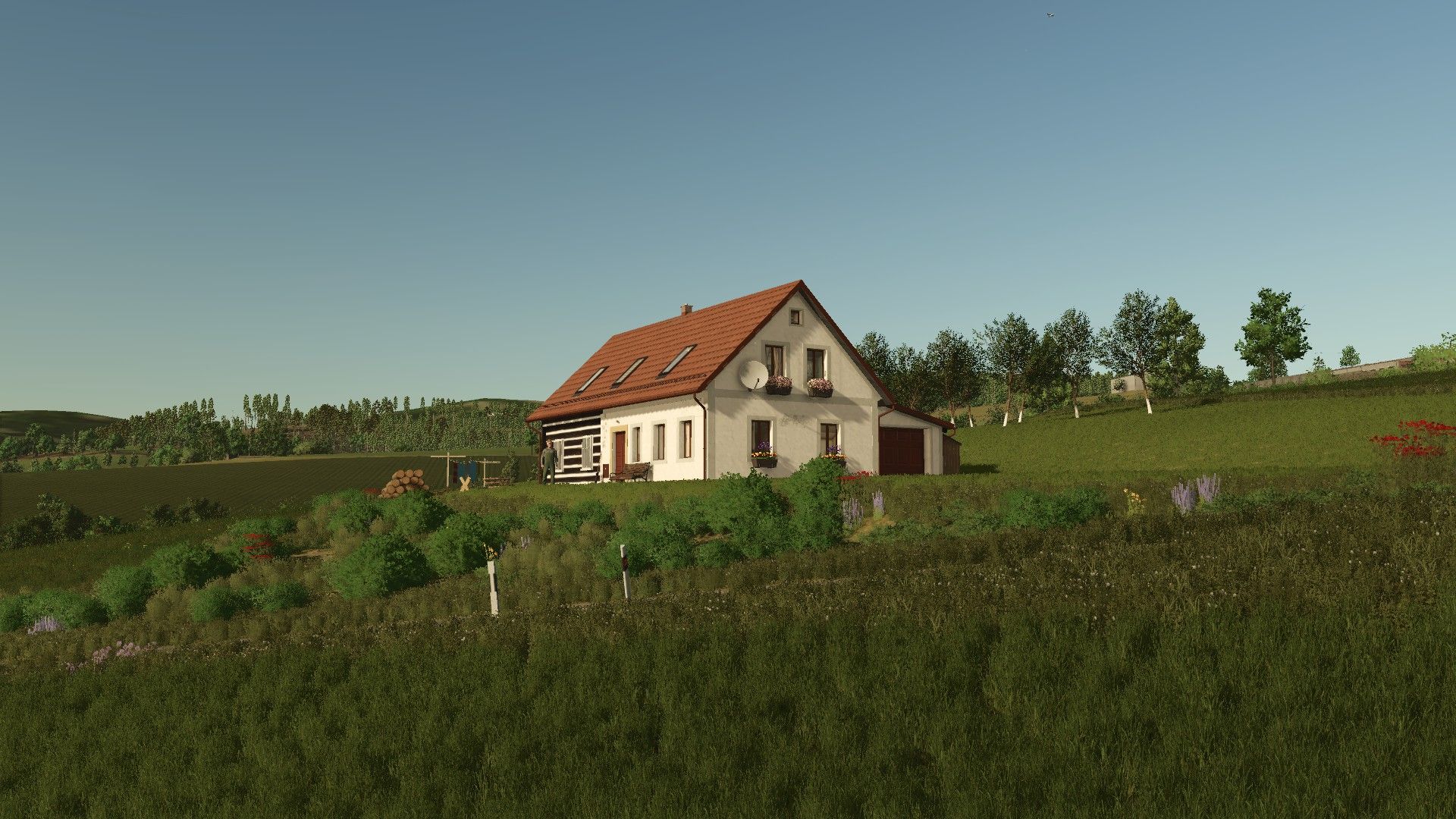 Valachy