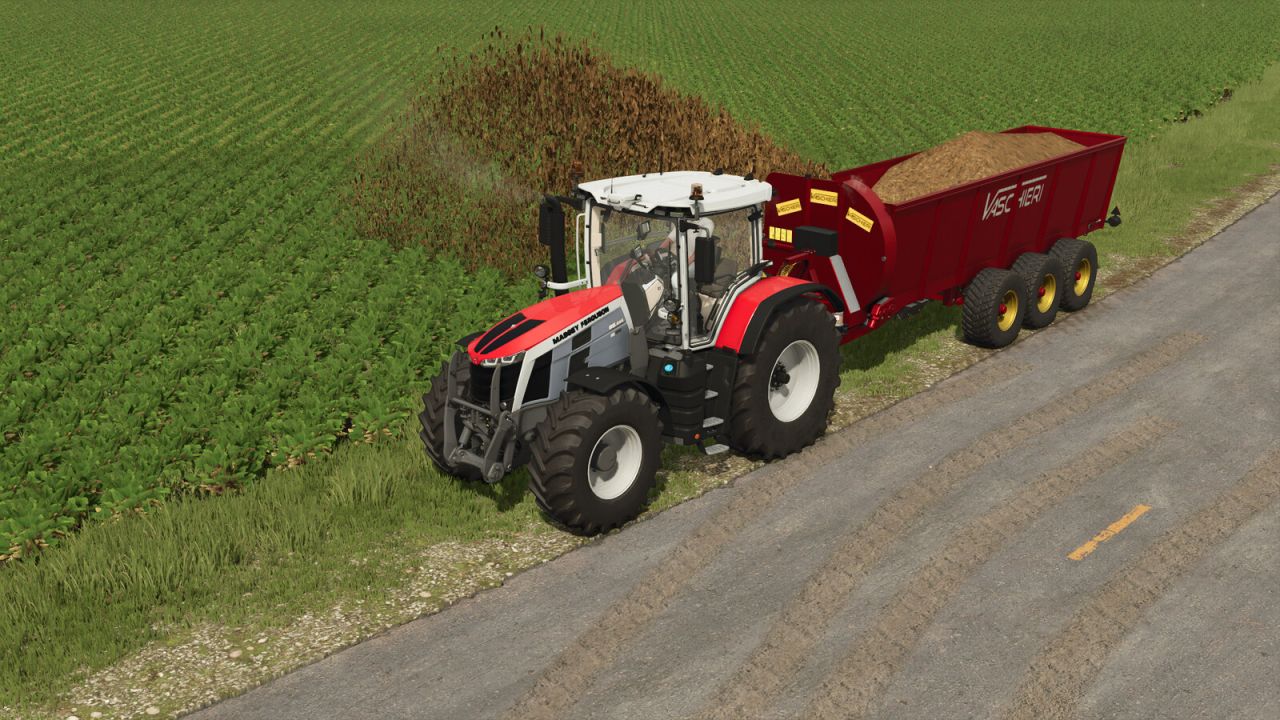 Vaschieri L Pack