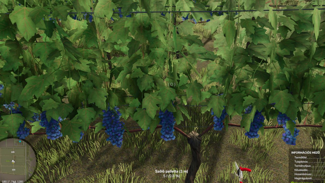 Vine Harvest Hand Tool