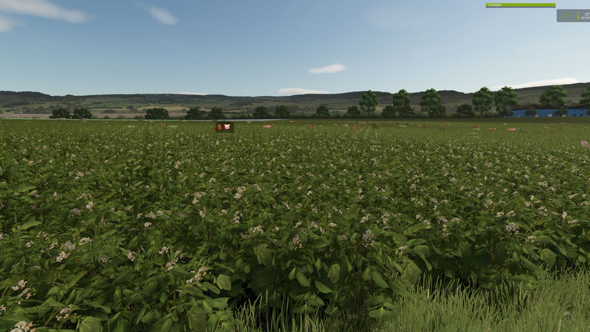 Vintage Farm V2.0 Multifruit