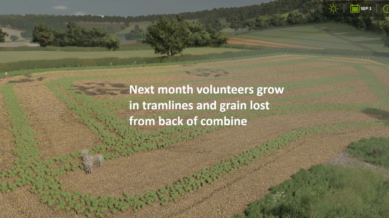 Volunteer Crops and Weeds FS25 thumbnail 4