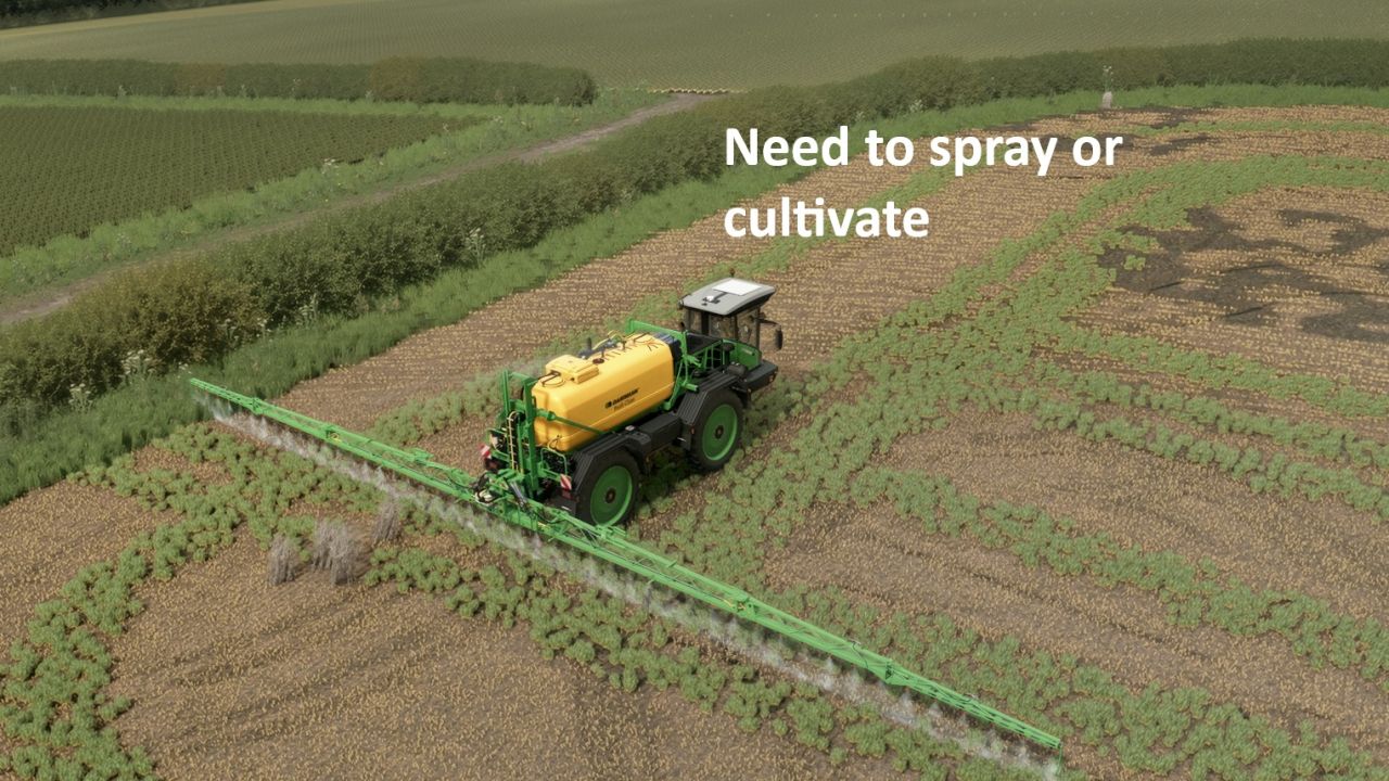 Volunteer Crops and Weeds FS25 thumbnail 5