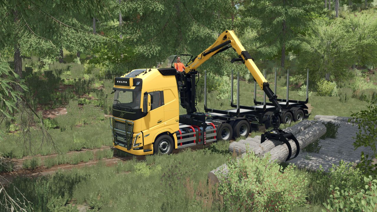 Semipaquete de grúa Z forestal Volvo FH 16