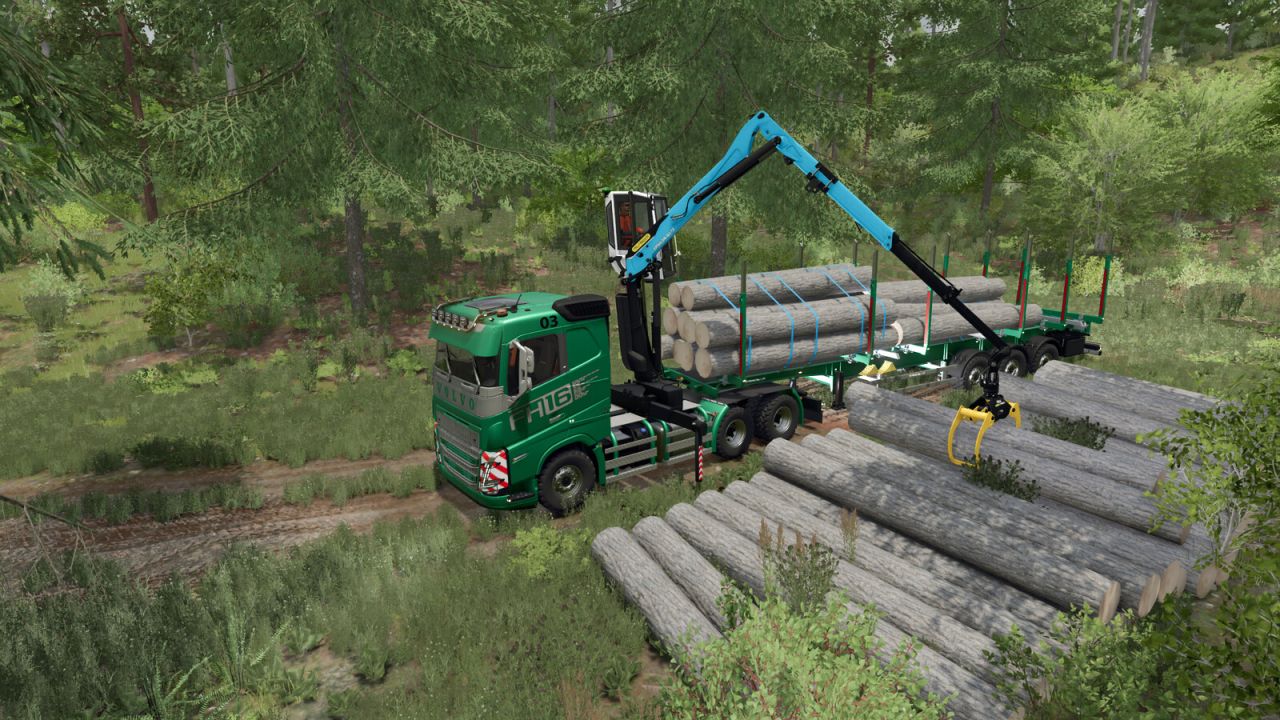 Semipaquete de grúa Z forestal Volvo FH 16