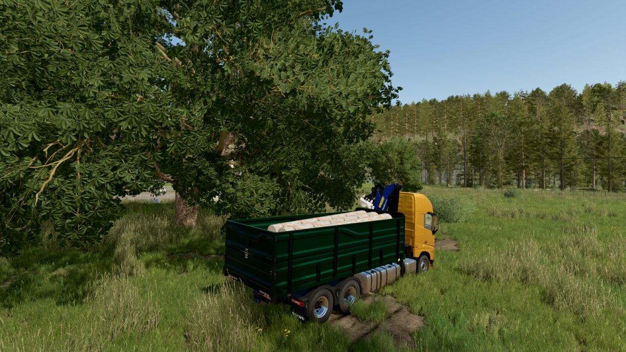 VOLVO FH16 MULTICUSTOM TRUCK