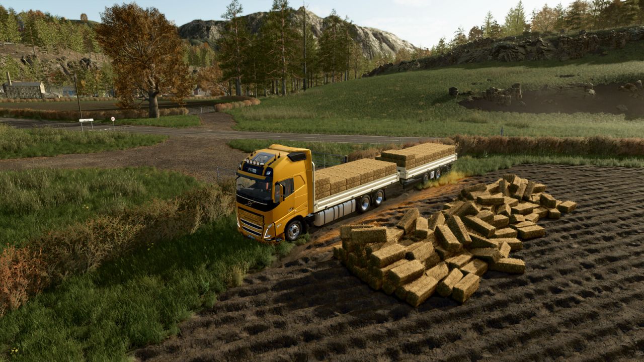 VOLVO FH16 TANDEM