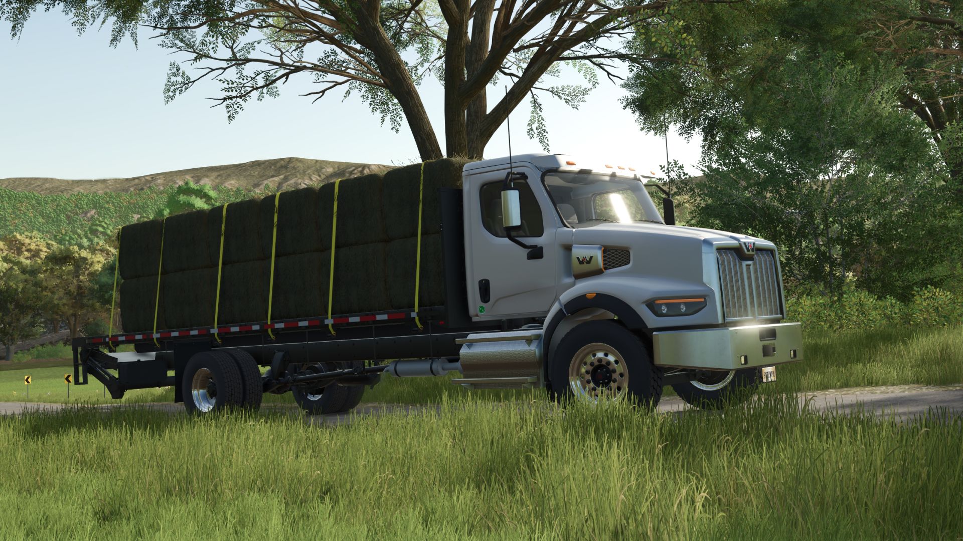 Western Star 49X Stakebed