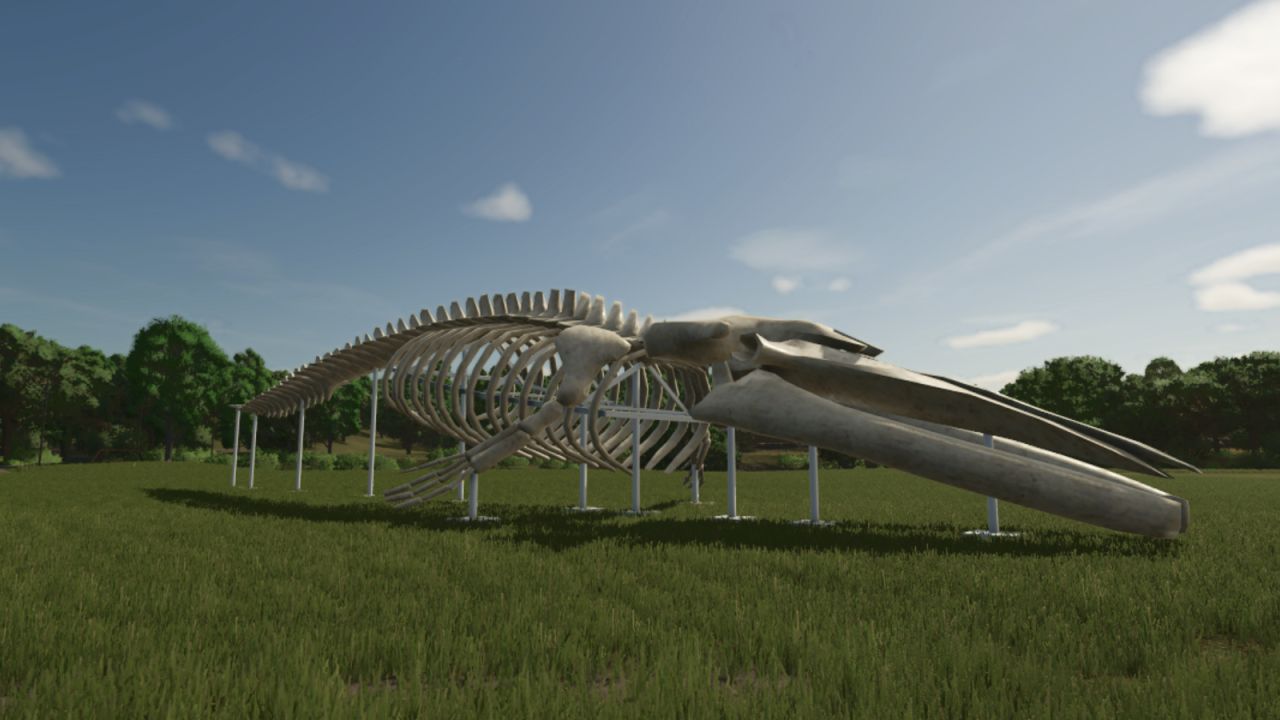 Scultura di scheletro di balena
