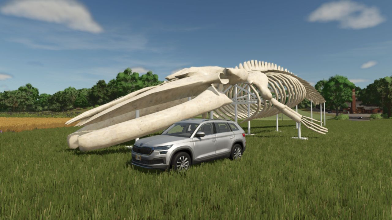 Scultura di scheletro di balena