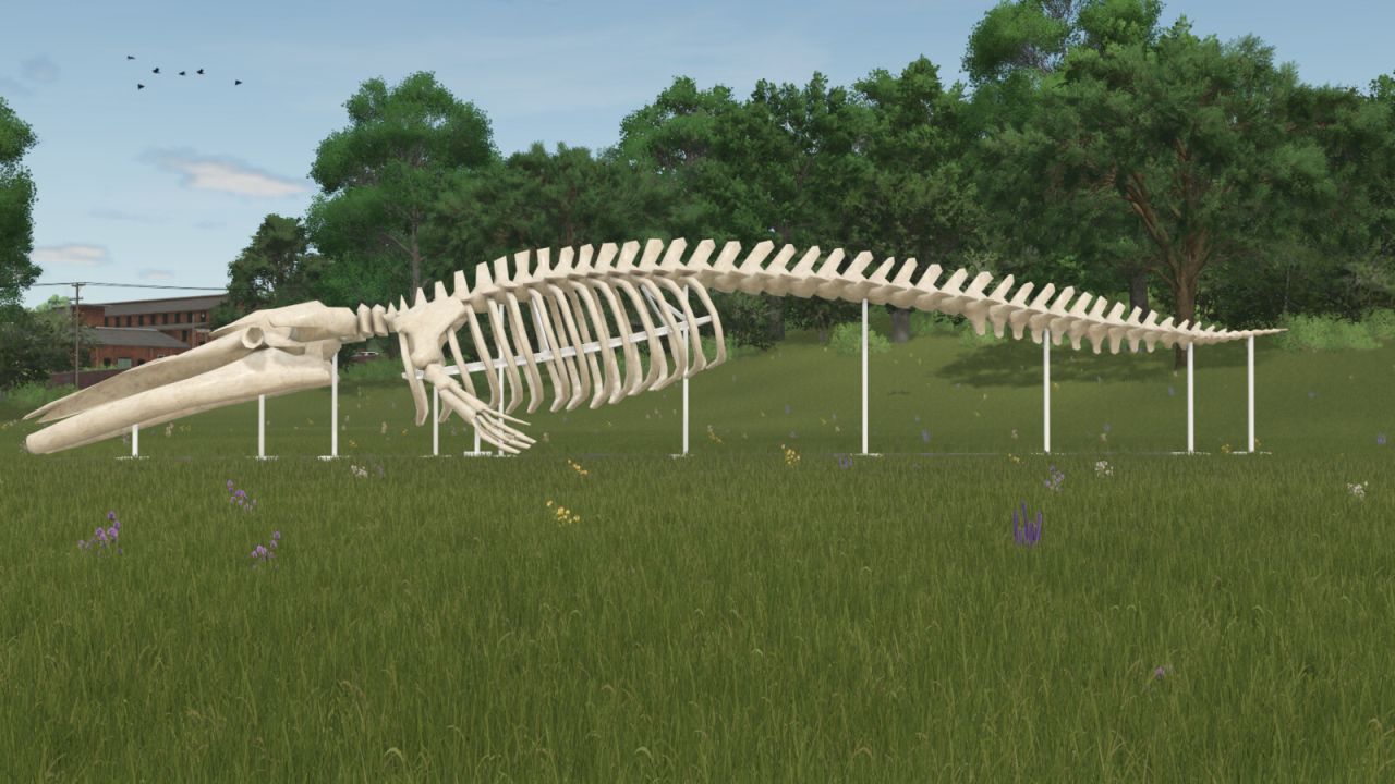 Escultura de esqueleto de baleia