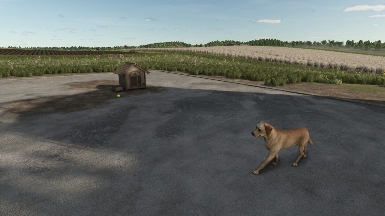 Who Let The Dogs Out