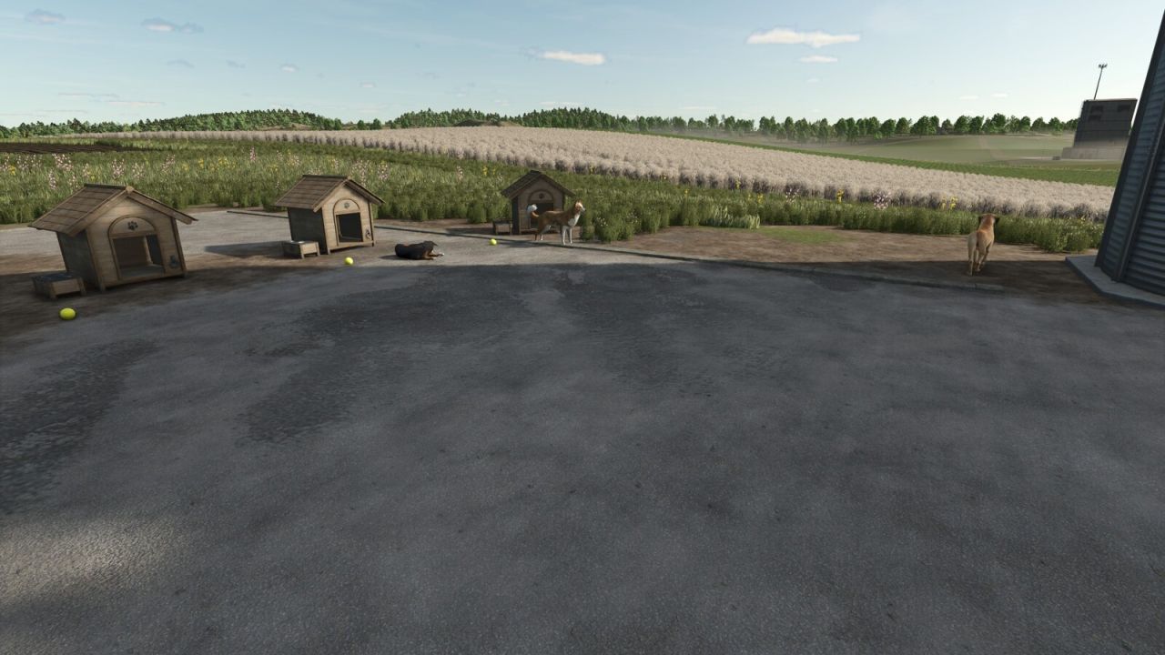 Who Let The Dogs Out