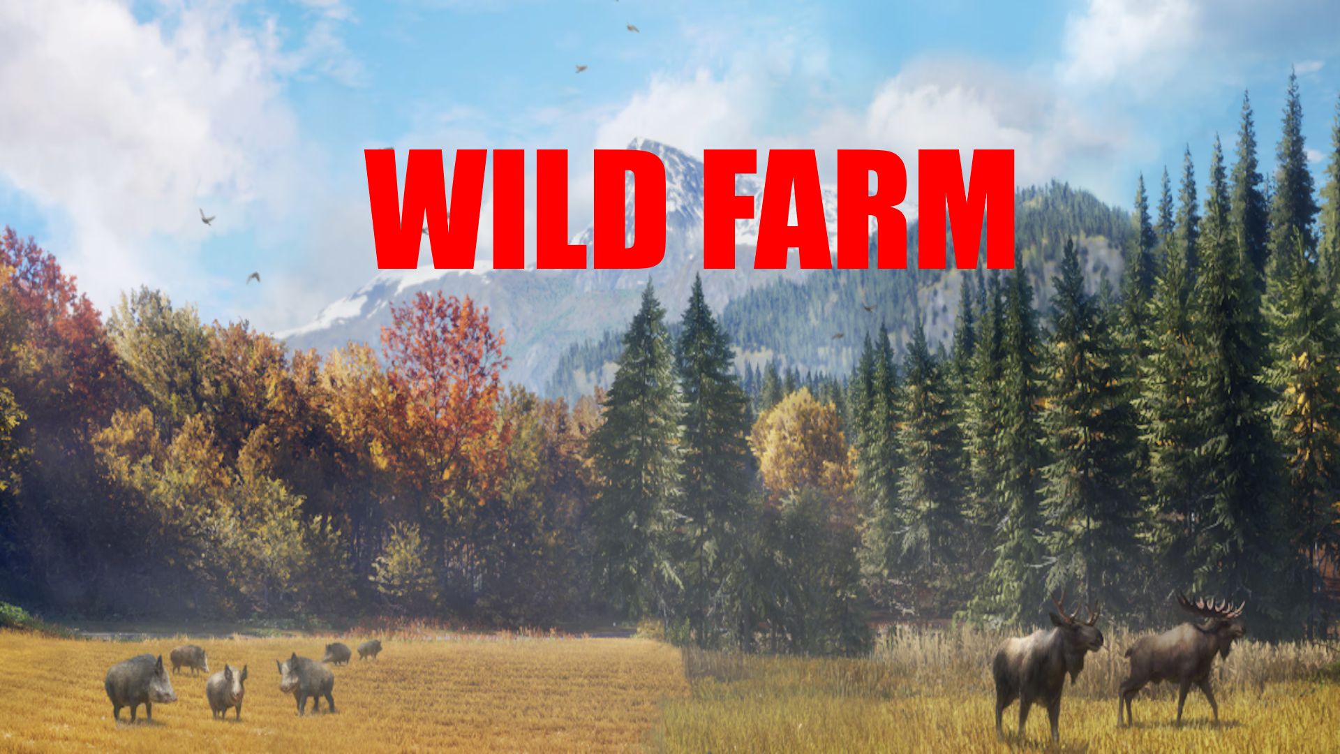 Wild Farm