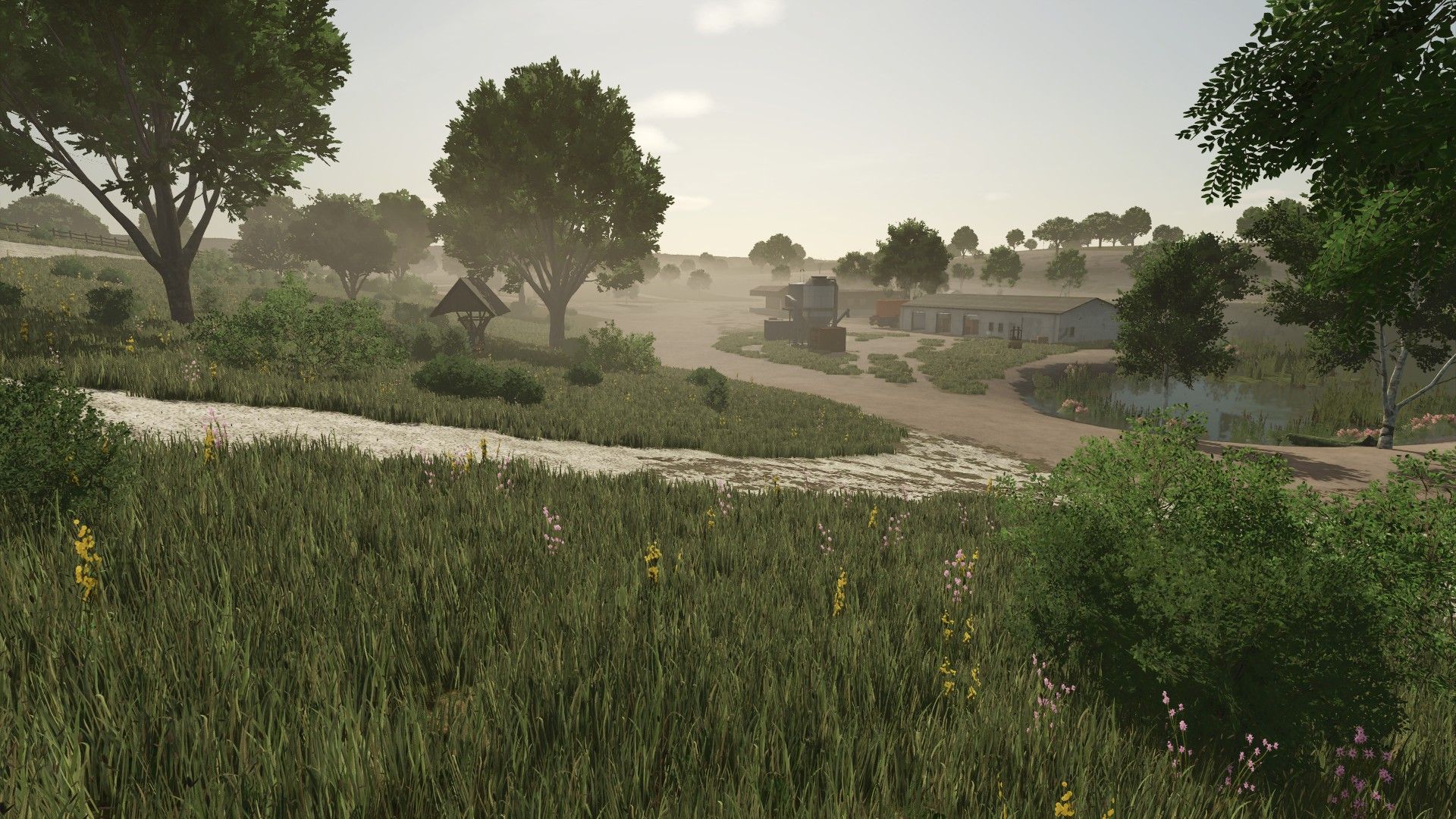 Wild Valley