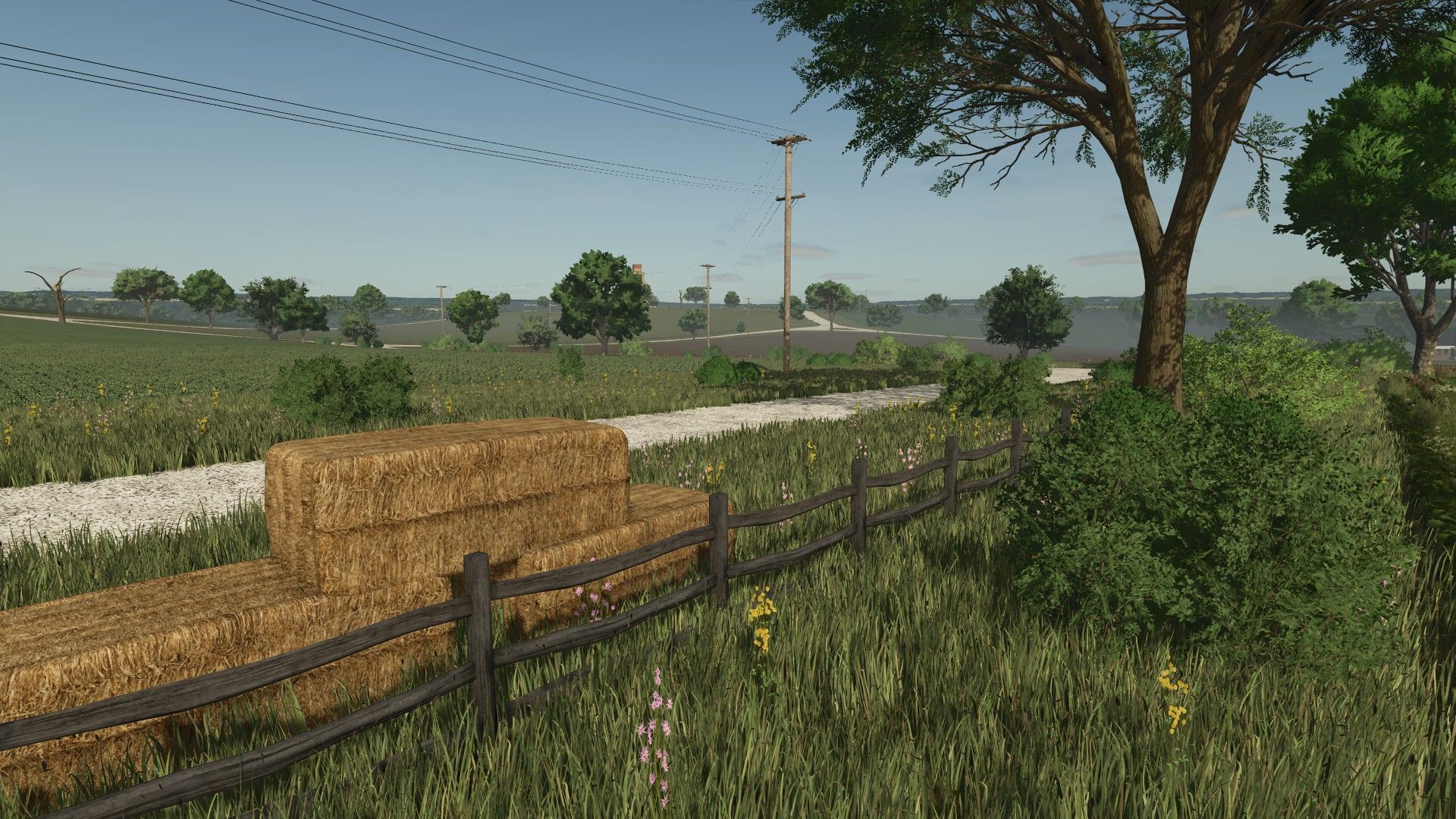 Wild Valley