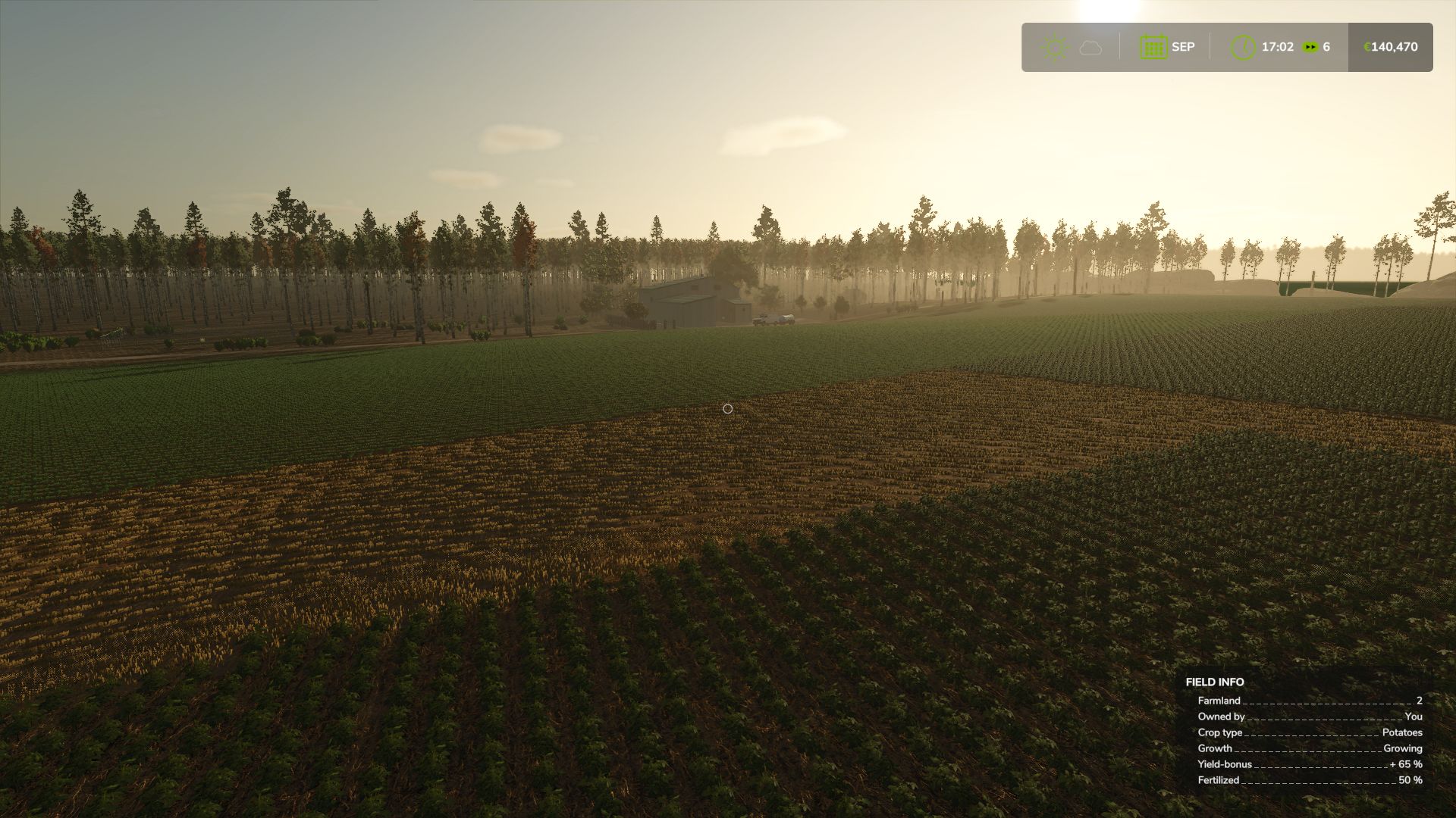 Wine Production