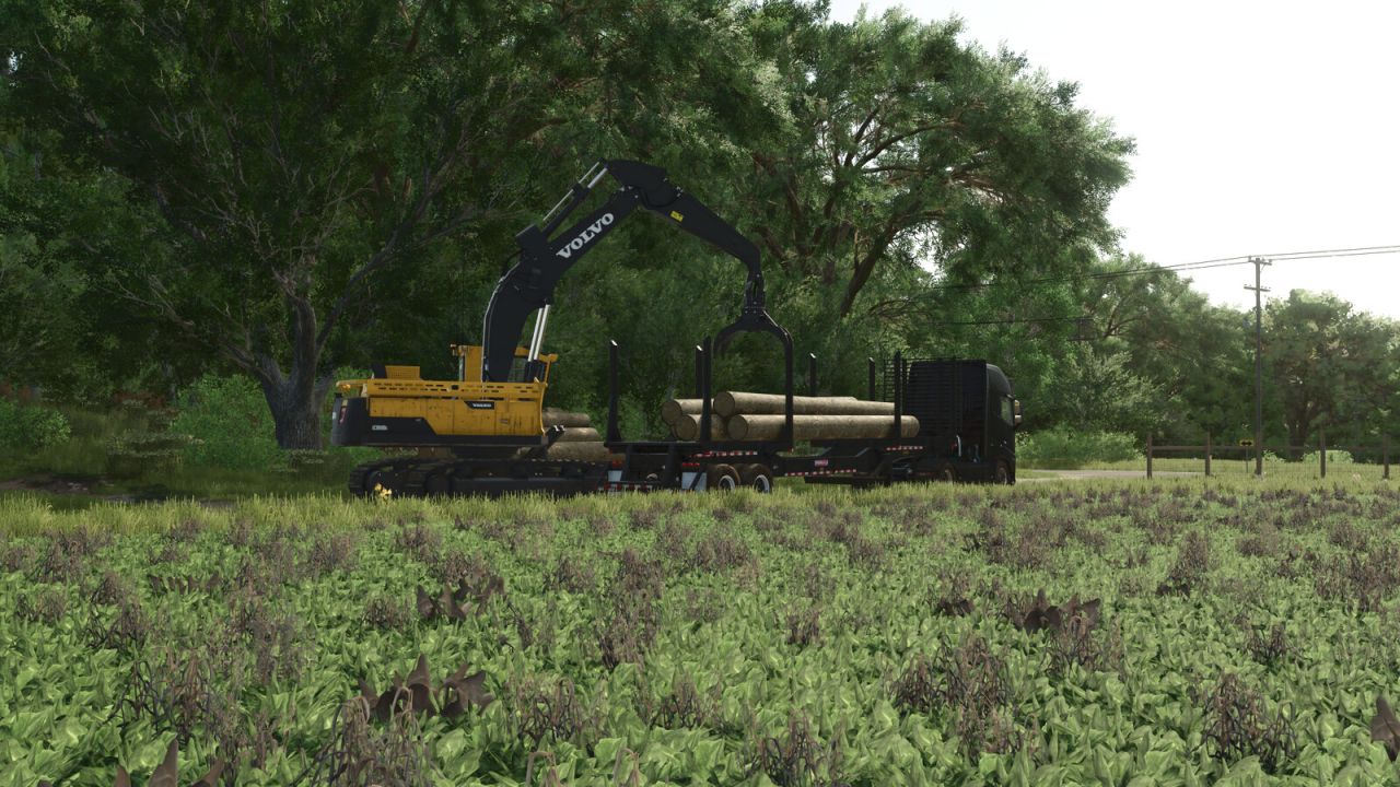 Almacenamiento de madera