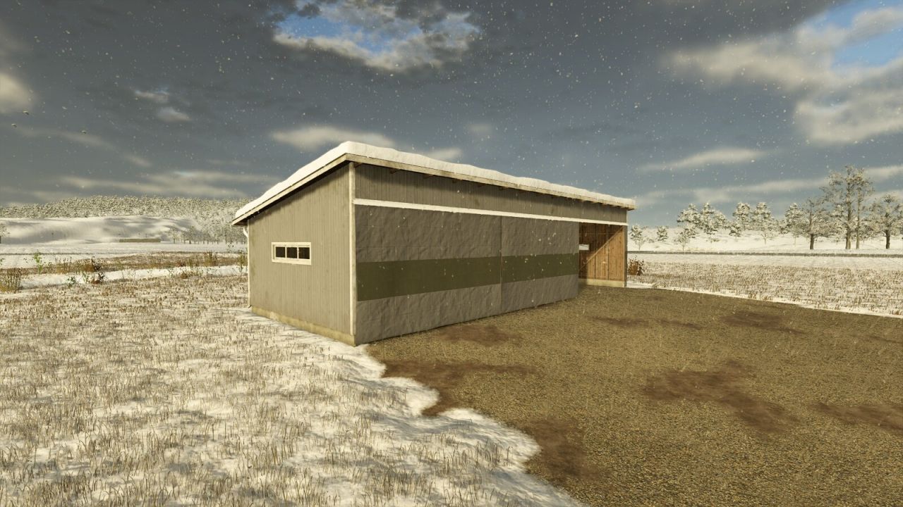 Garage e workshop in legno