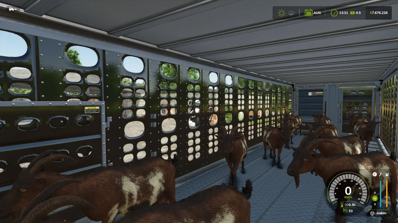 XXL-Viehtransporter