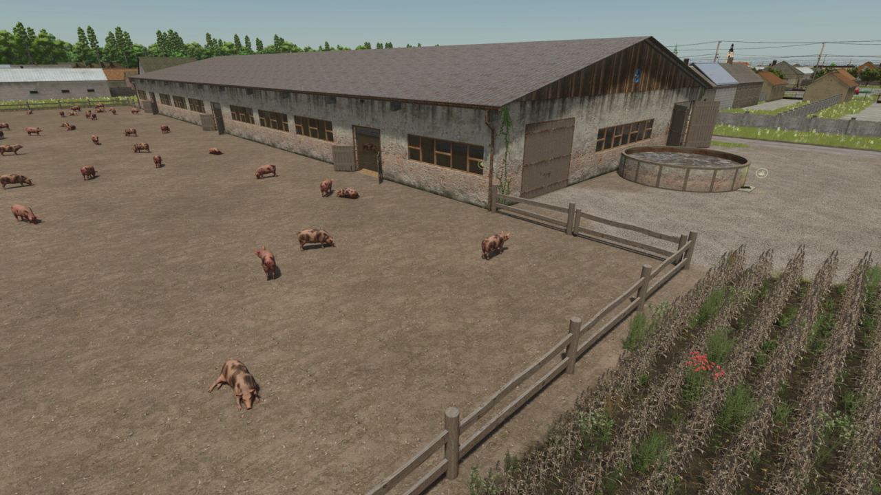 XXL Schweinestall