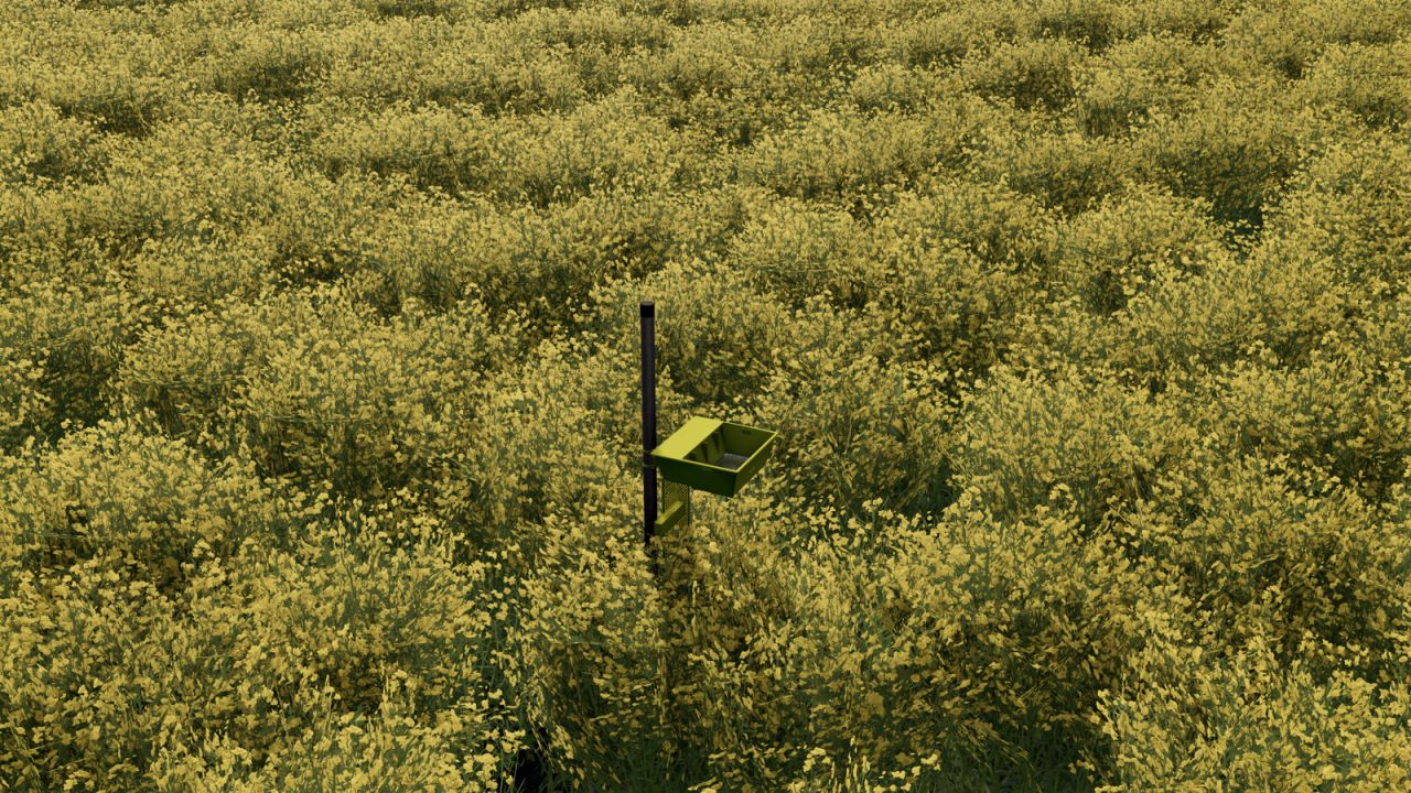 Yellow Tray