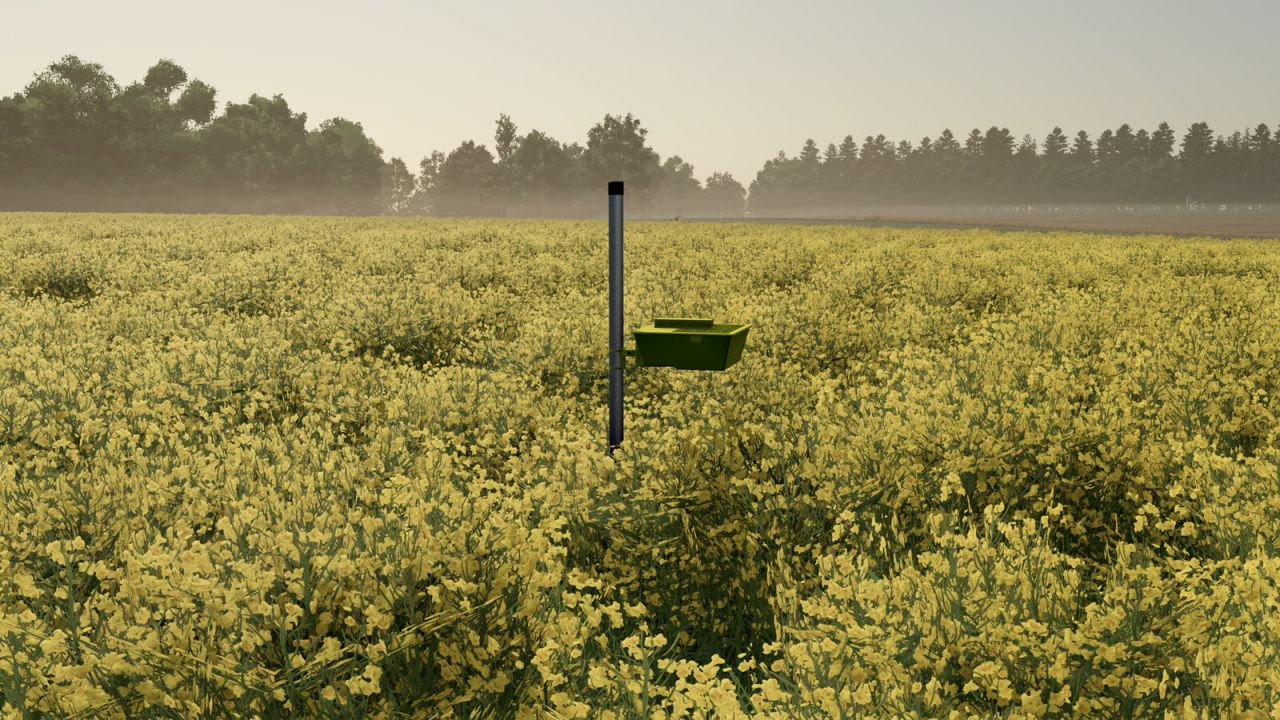 Yellow Tray