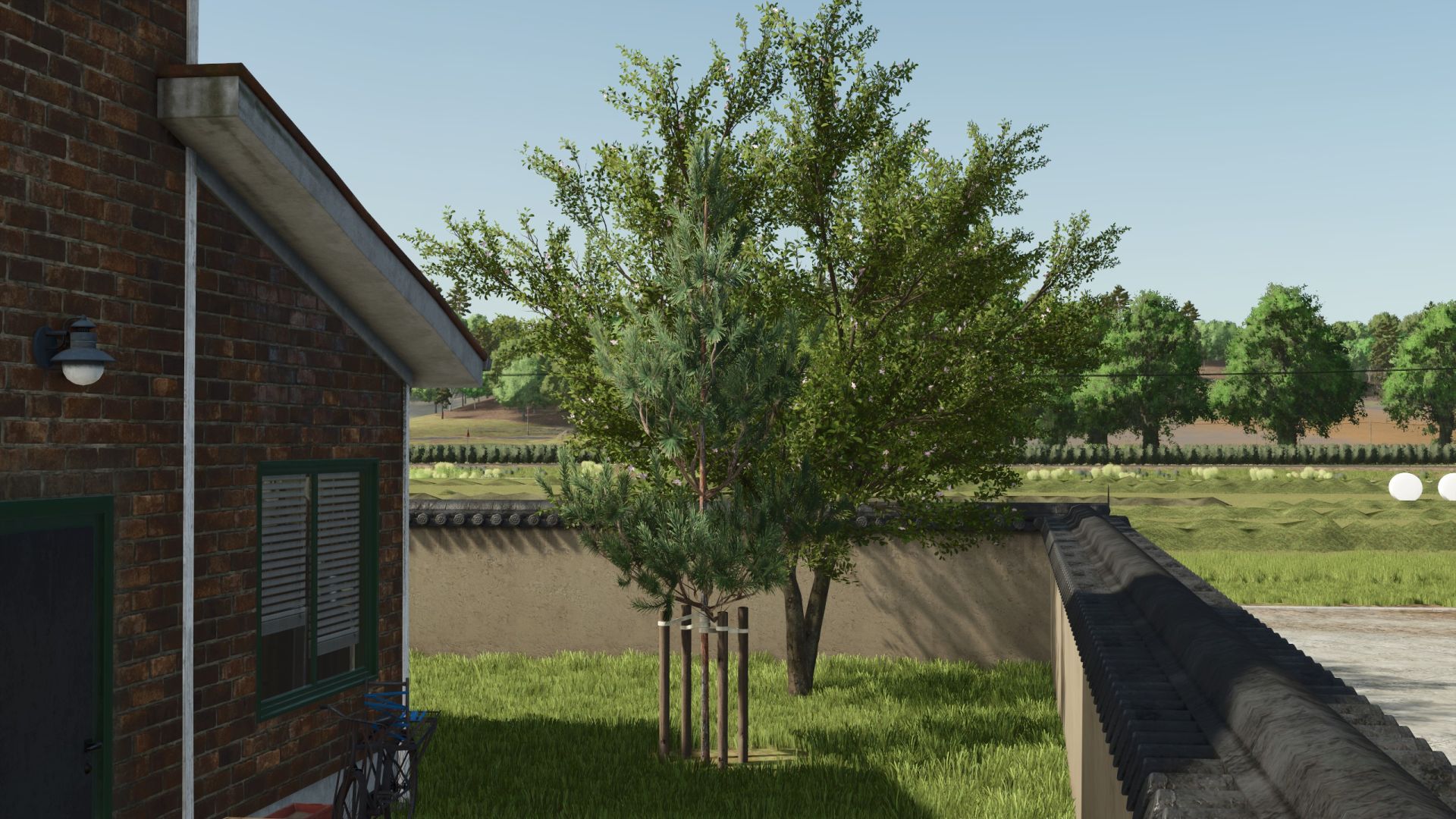 Young trees