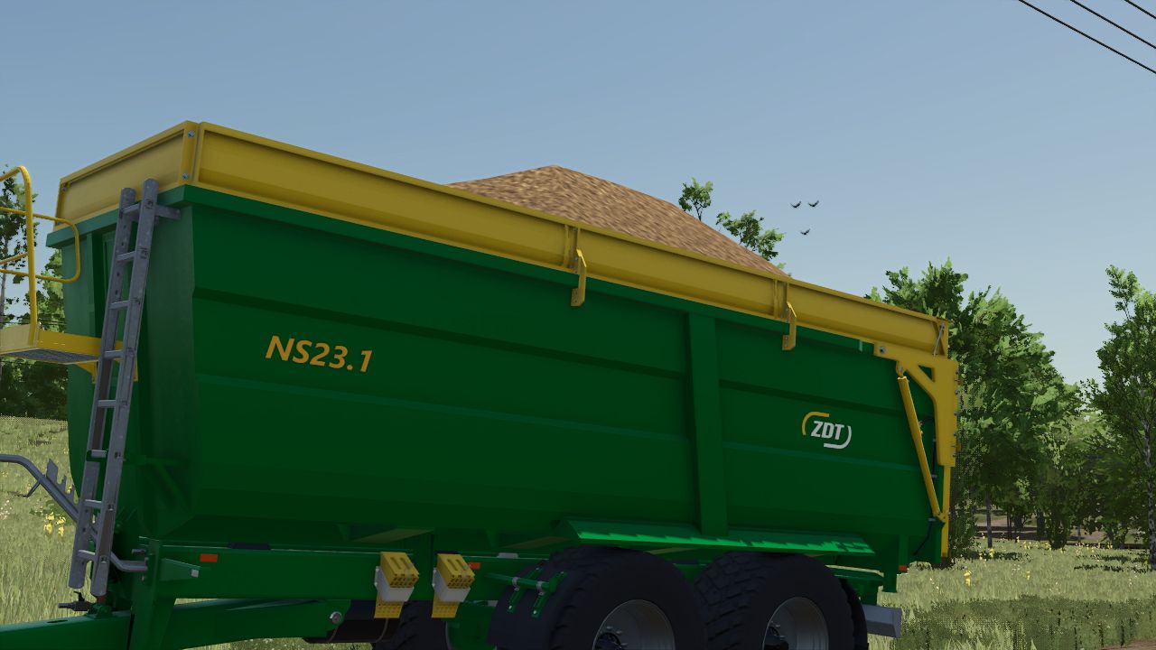 ZDT NS23.1