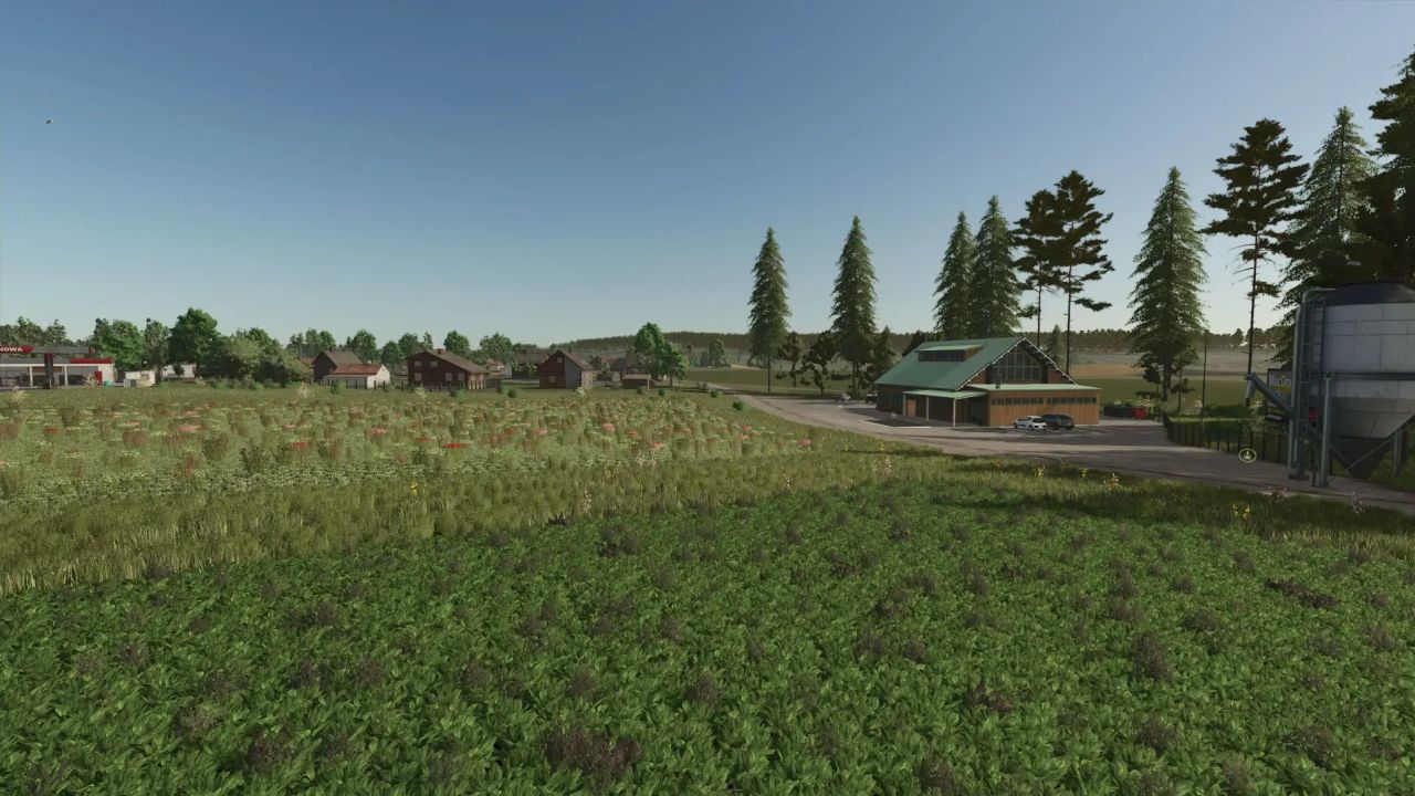 Zielonka Forestry Edition